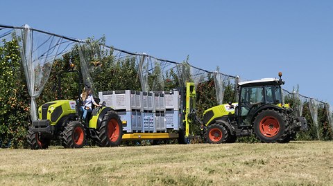 NEXOS F-FB-VL-VE